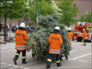 Bildergalerie Maibaumstellen 2009 (19)