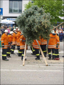 Bildergalerie Maibaumstellen 2009 (48)