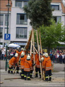 Bildergalerie Maibaumstellen 2009 (60)