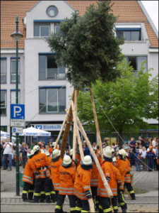 Bildergalerie Maibaumstellen 2009 (63)