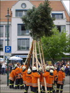 Bildergalerie Maibaumstellen 2009 (64)