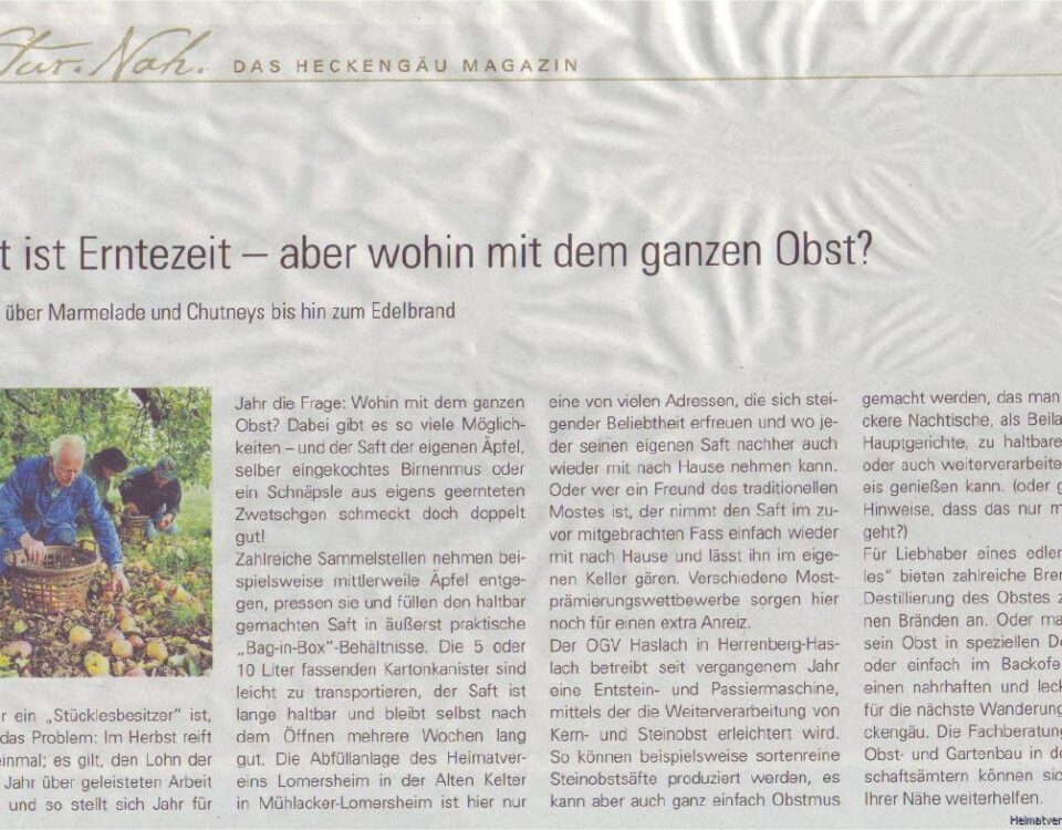 Quelle: Heckengäu Magazin. 03.2009